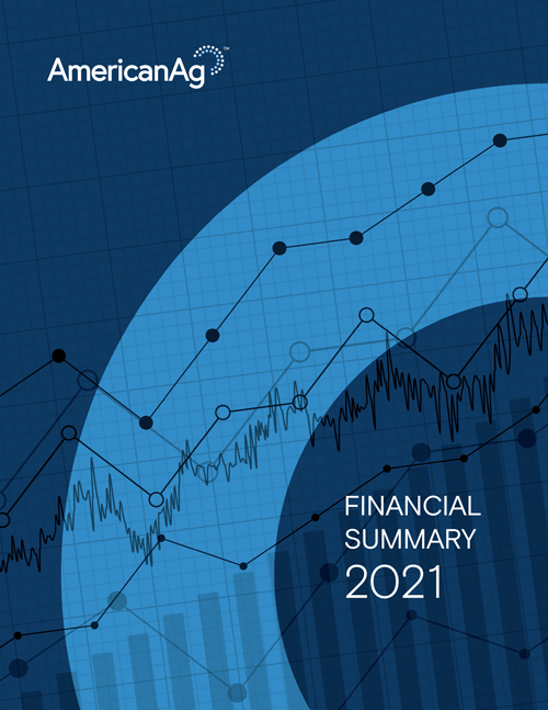 2021 Financial Summary
